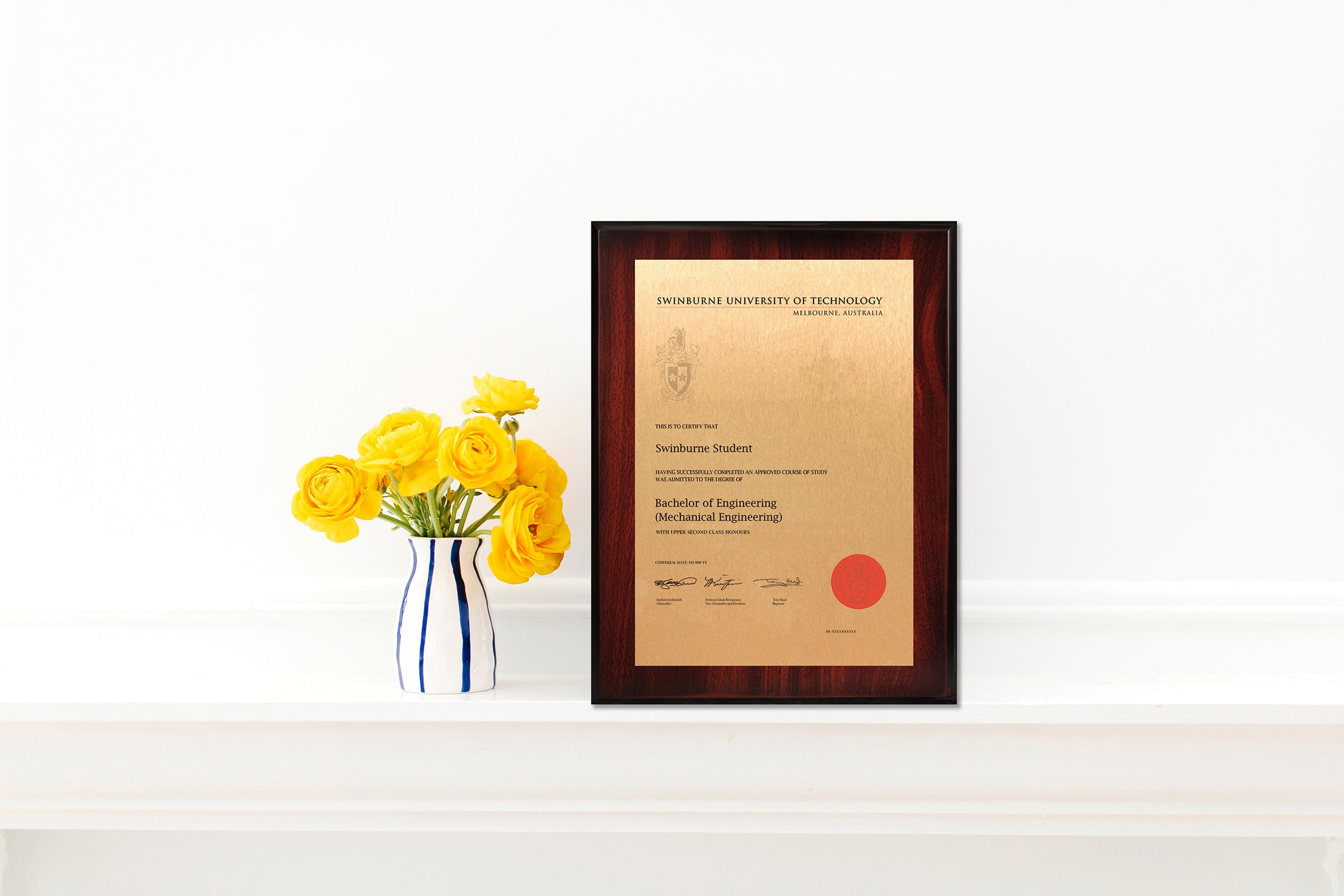 Plaques