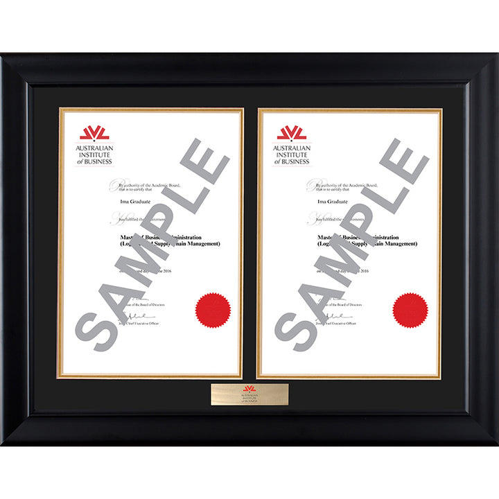 AIB Frame Black Double Degree