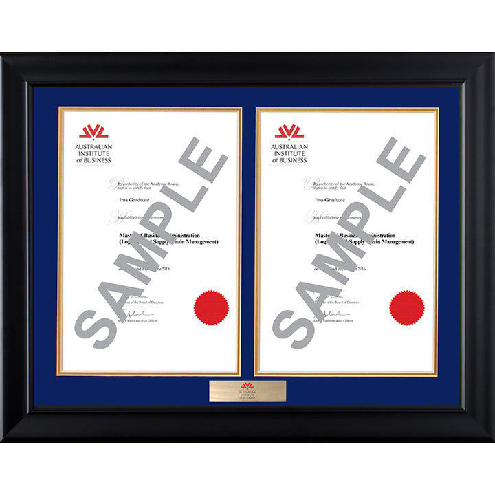AIB Frame Black Double Degree
