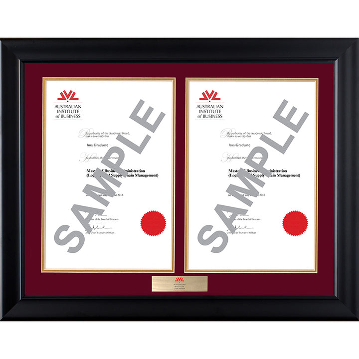 AIB Frame Black Double Degree