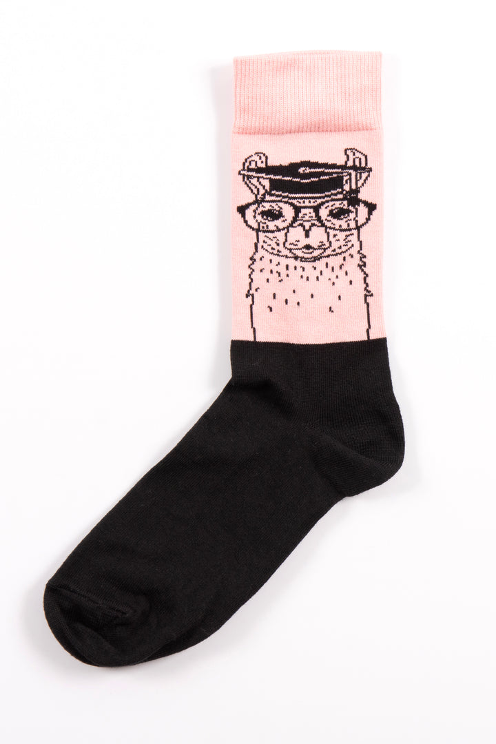 Graduation Socks