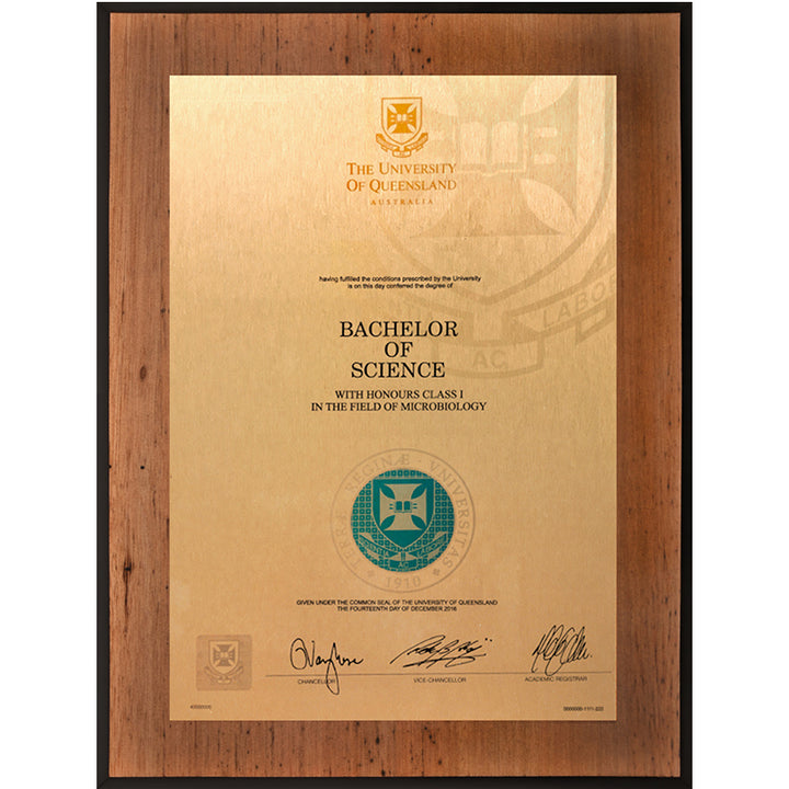 University of Queensland Plaque Vintage Blackbutt