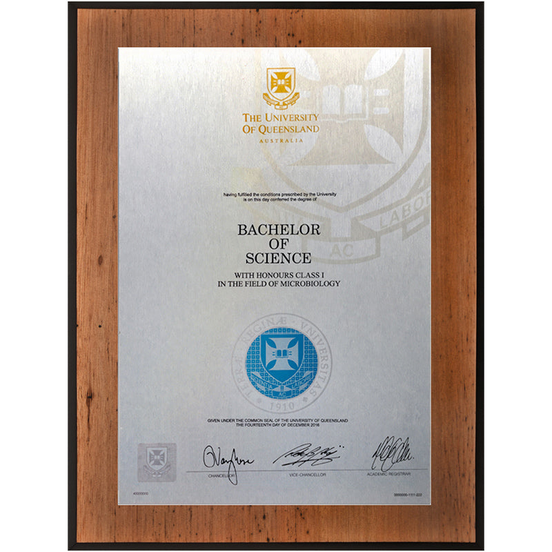 University of Queensland Plaque Vintage Blackbutt