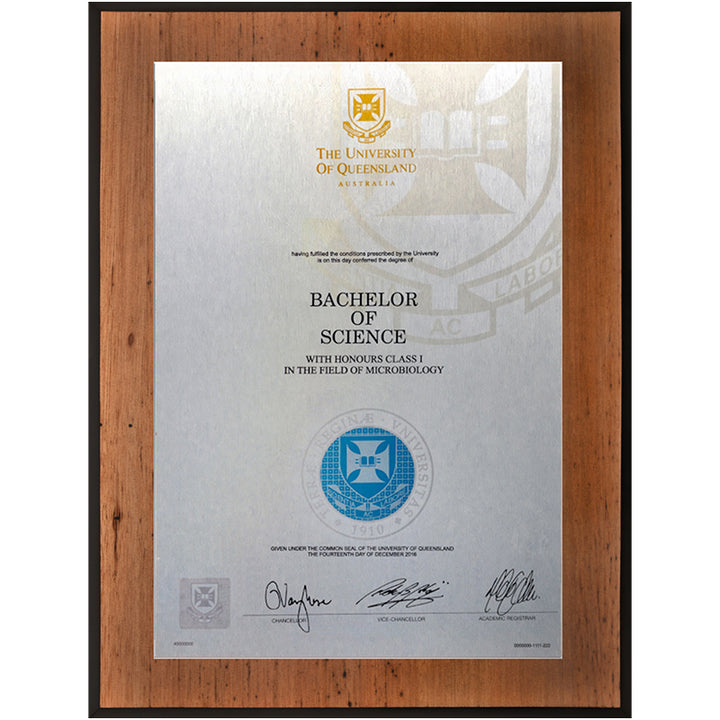 University of Queensland Plaque Vintage Blackbutt