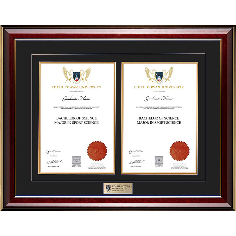 ECU Frame Majestic Double Degree