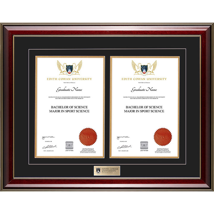 ECU Frame Majestic Double Degree