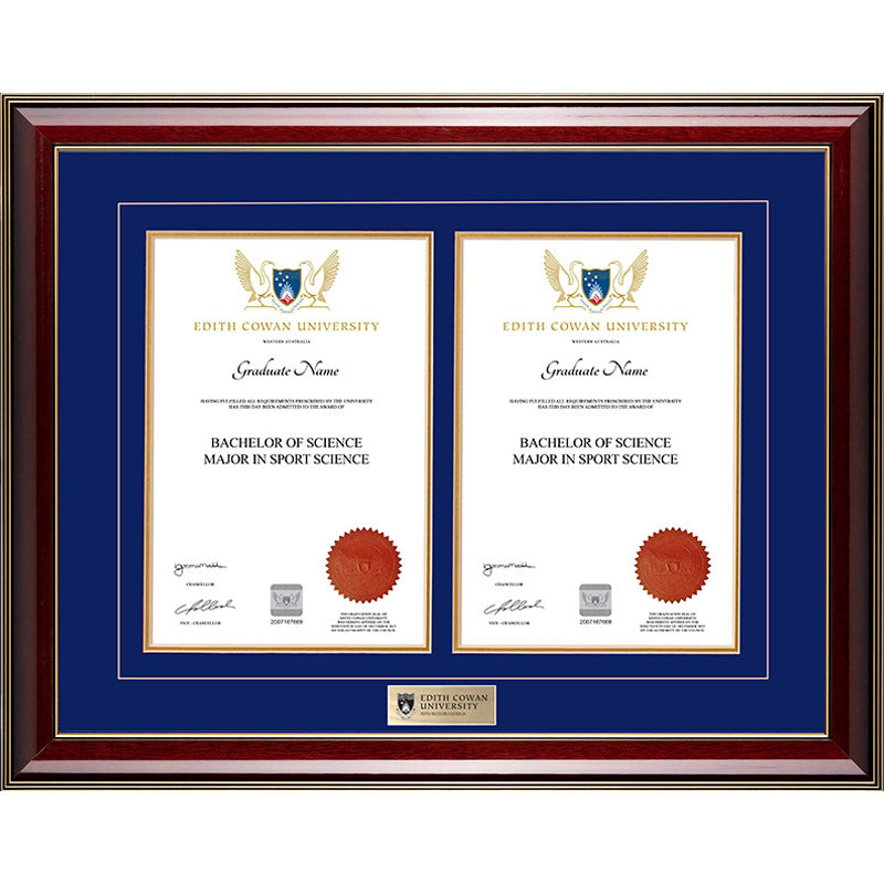 ECU Frame Majestic Double Degree