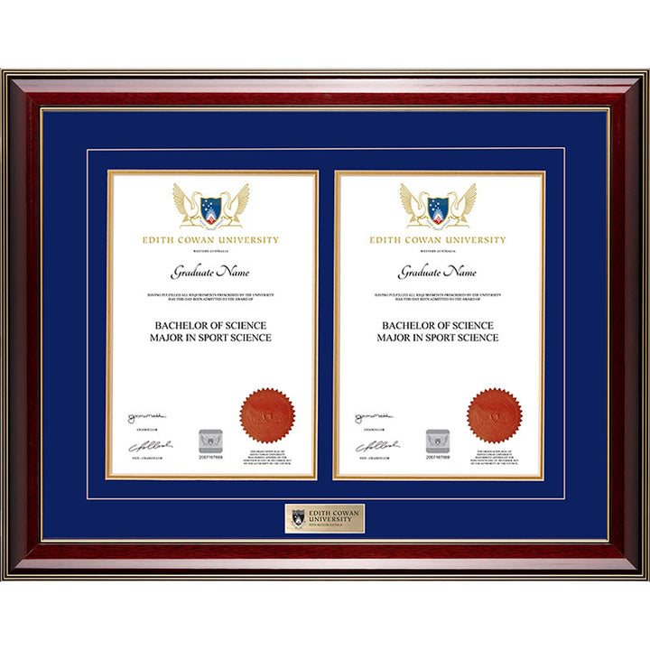 ECU Frame Majestic Double Degree