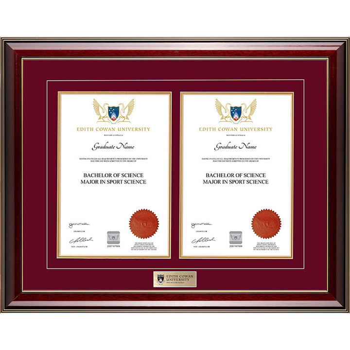 ECU Frame Majestic Double Degree