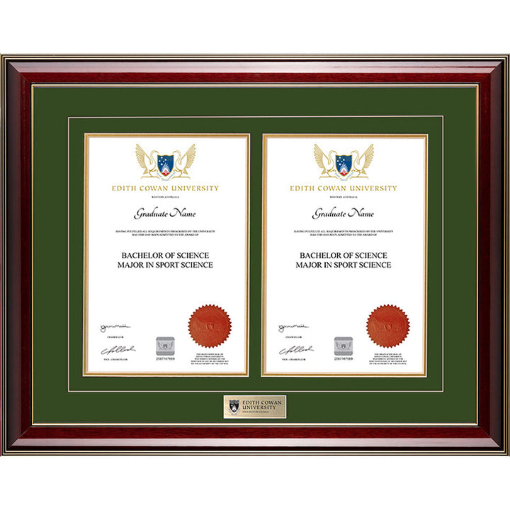 ECU Frame Majestic Double Degree