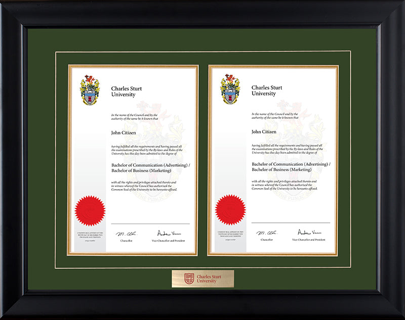 CSU Frame Black Double Degree