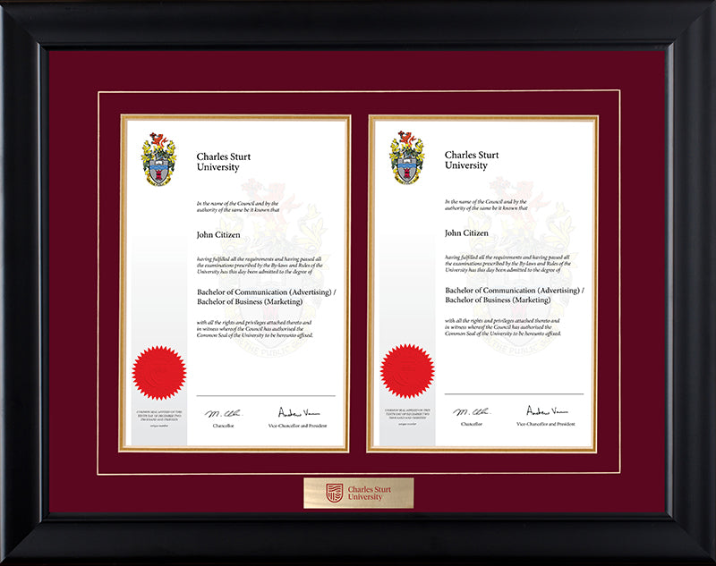 CSU Frame Black Double Degree
