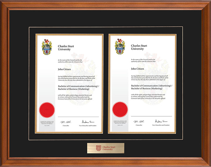 CSU Frame Classic Double Degree