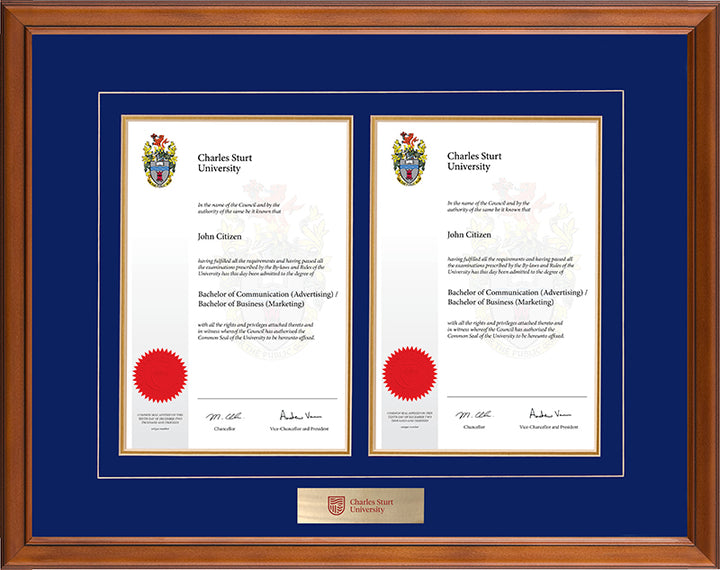 CSU Frame Classic Double Degree