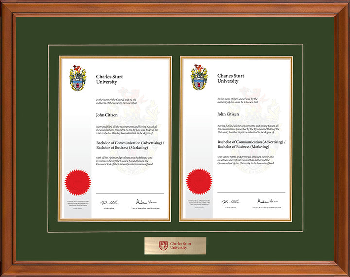 CSU Frame Classic Double Degree