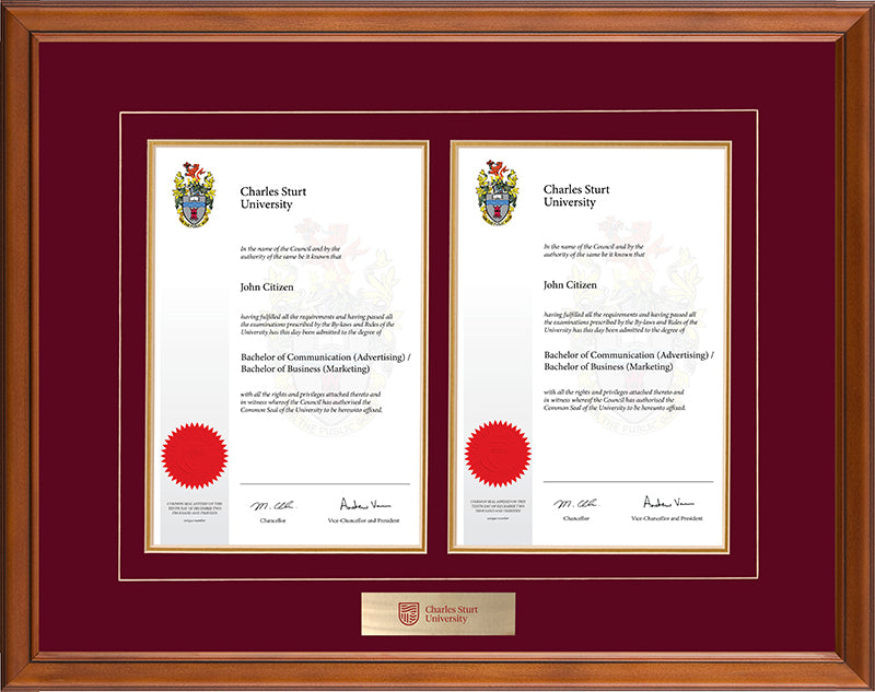 CSU Frame Classic Double Degree