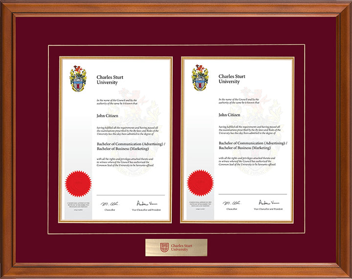 CSU Frame Classic Double Degree