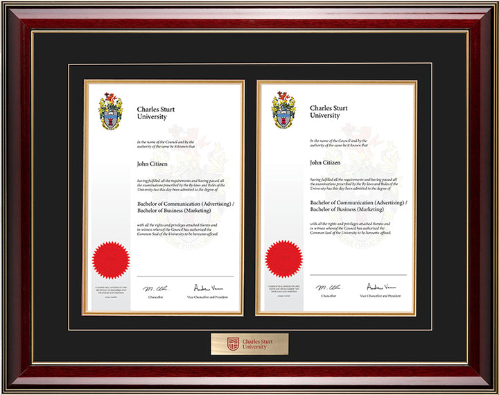 CSU Frame Majestic Double Degree