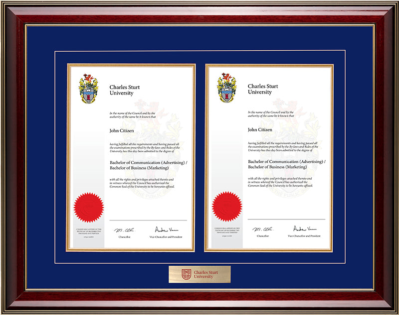 CSU Frame Majestic Double Degree