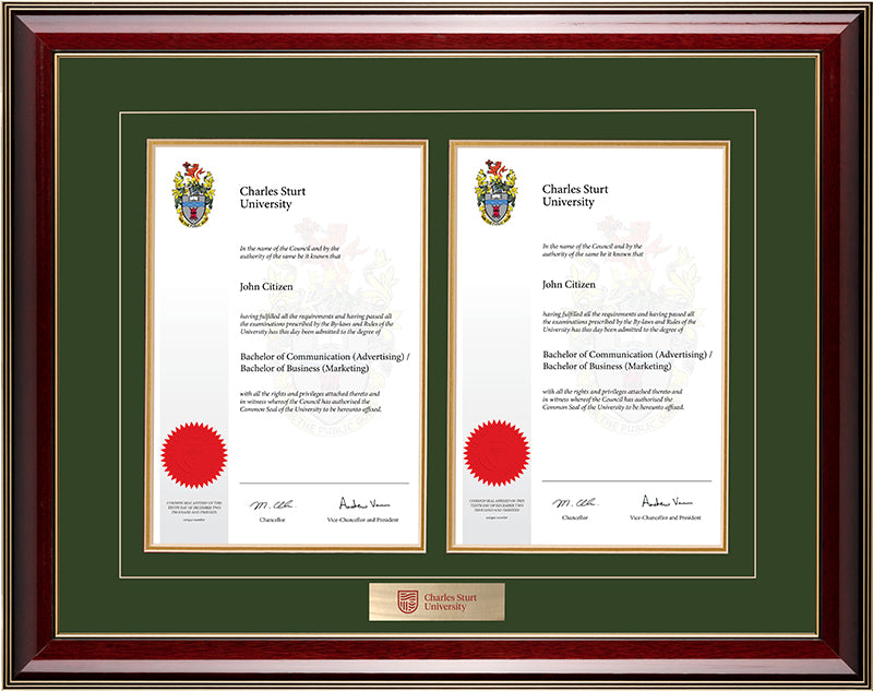 CSU Frame Majestic Double Degree