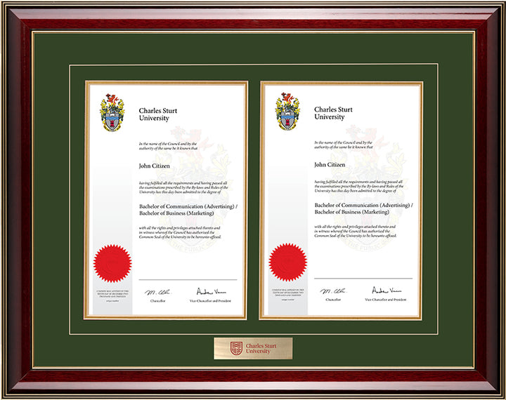 CSU Frame Majestic Double Degree