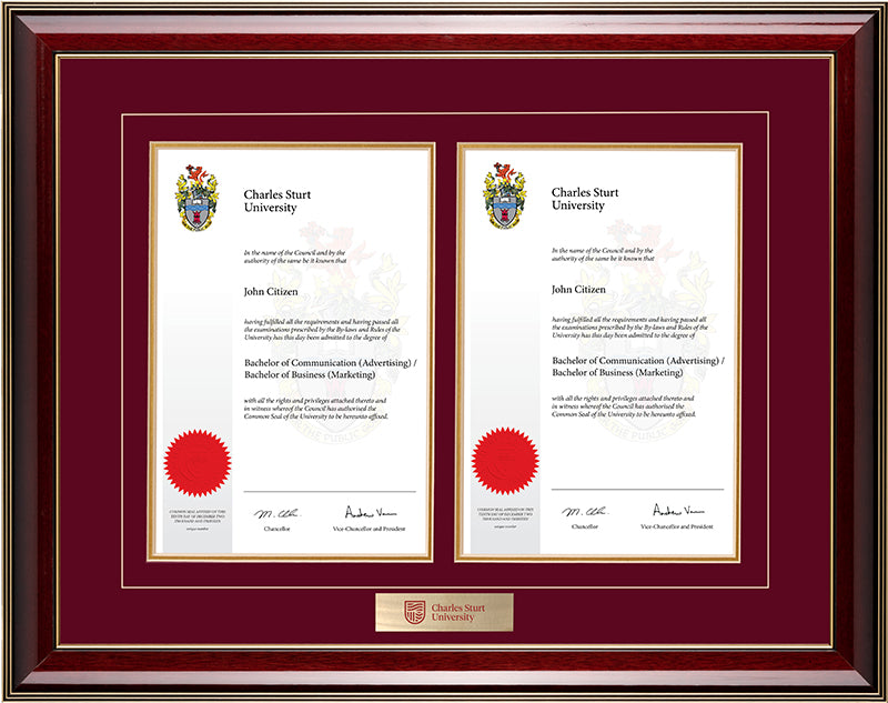 CSU Frame Majestic Double Degree