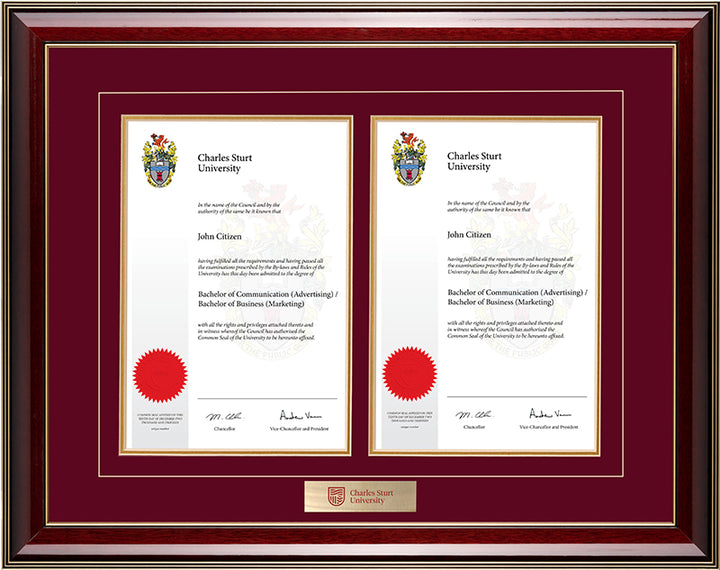CSU Frame Majestic Double Degree