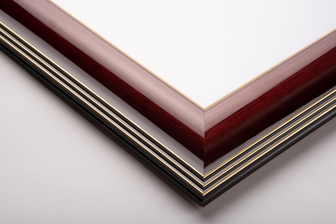 University of Sydney Frame Majestic Double Degree