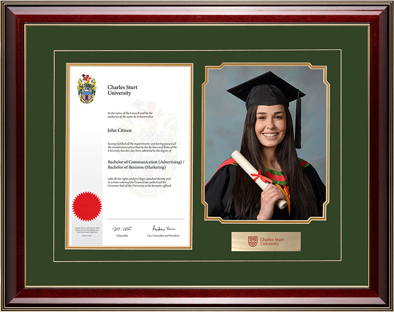 CSU Frame Majestic Regency