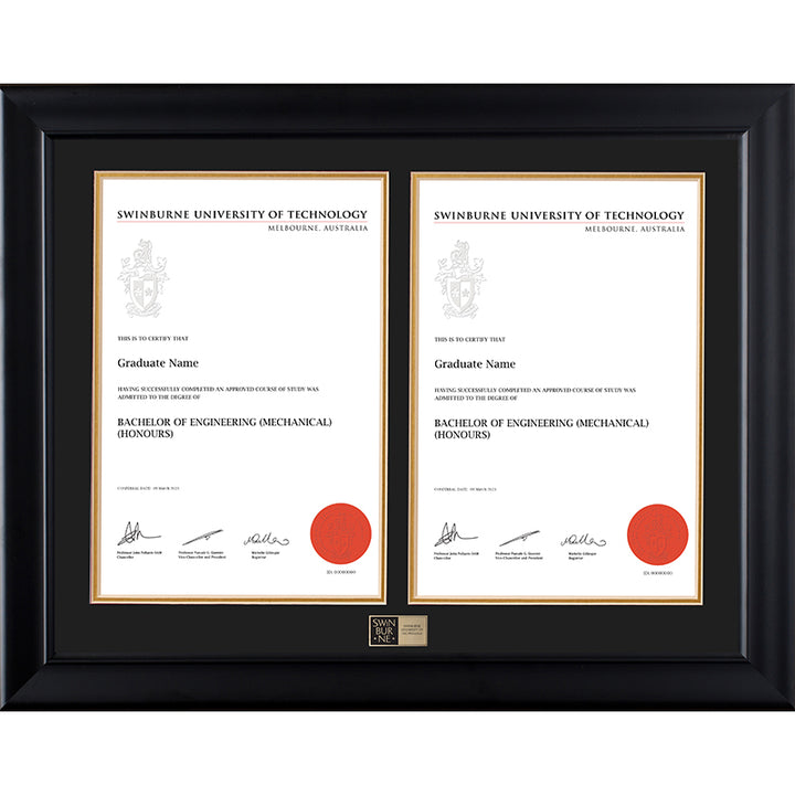 Swinburne Frame Black Double Degree