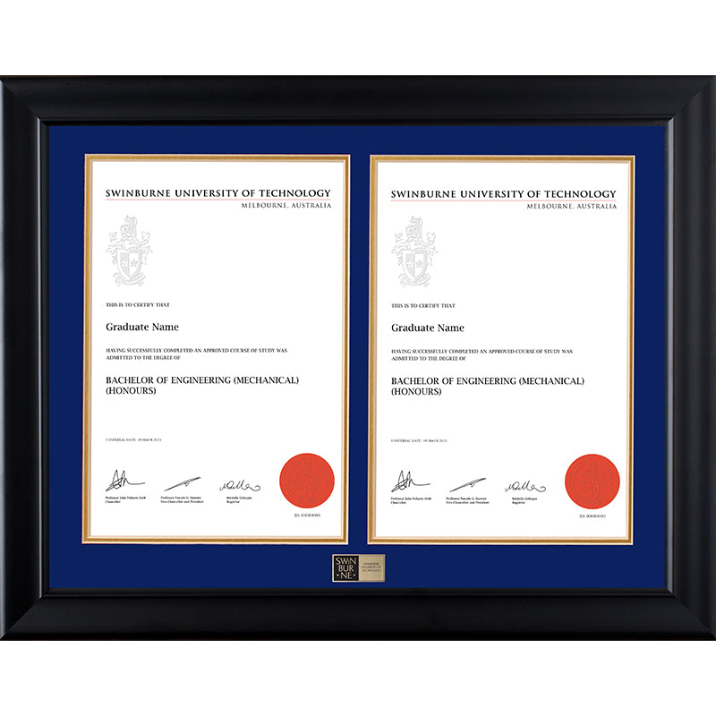 Swinburne Frame Black Double Degree