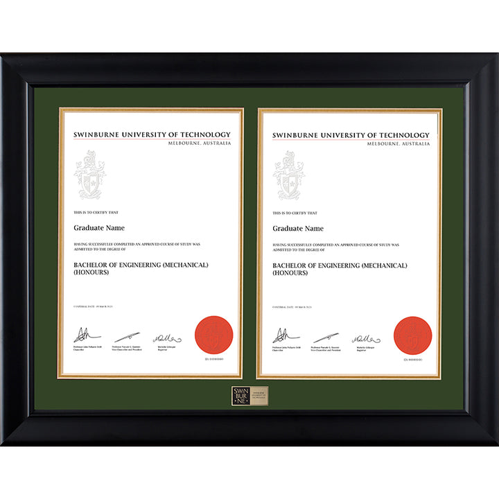 Swinburne Frame Black Double Degree