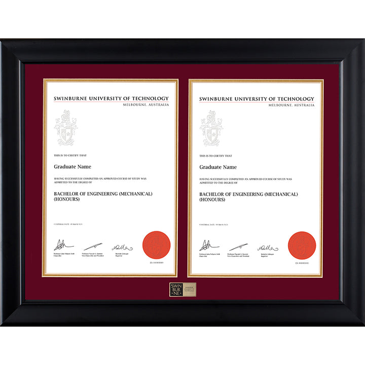 Swinburne Frame Black Double Degree