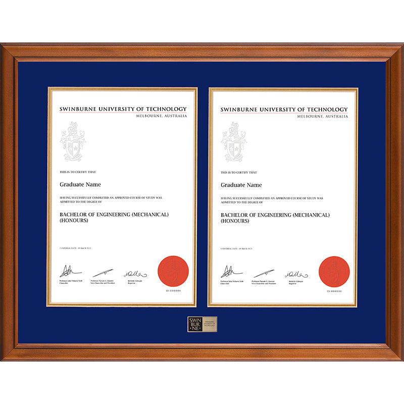 Swinburne Frame Classic Double Degree