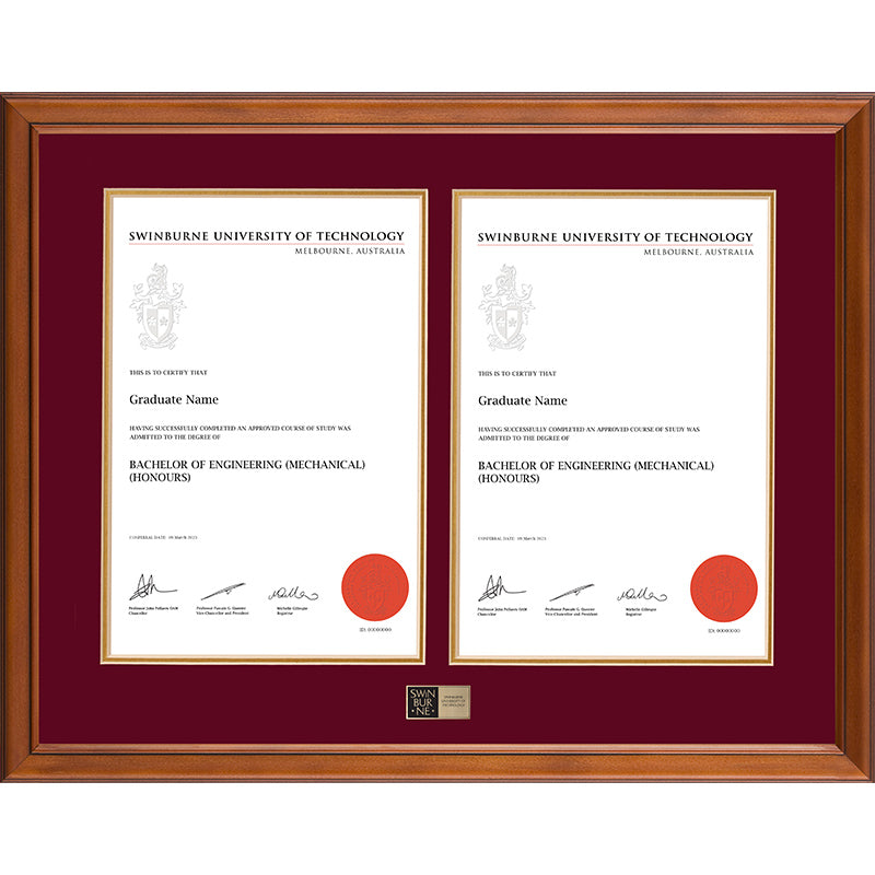Swinburne Frame Classic Double Degree