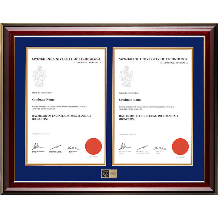 Swinburne Frame Majestic Double Degree