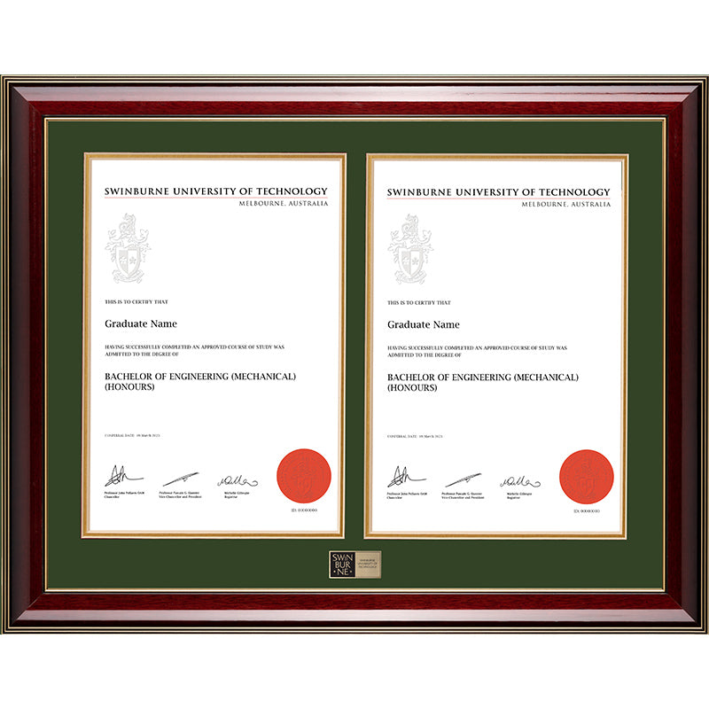 Swinburne Frame Majestic Double Degree