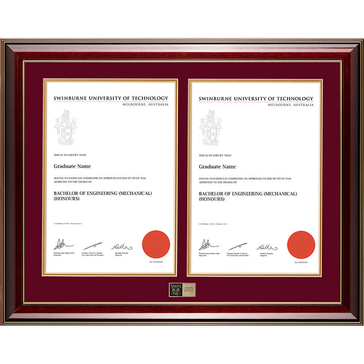 Swinburne Frame Majestic Double Degree